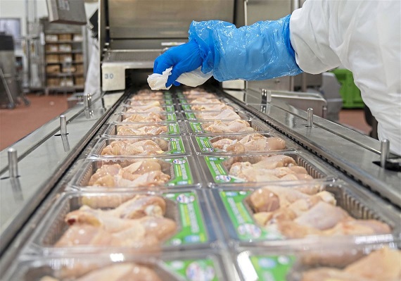 brazil frozen chicken cuts exporters