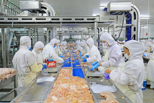 brazil frozen chicken exporters 5 (1)