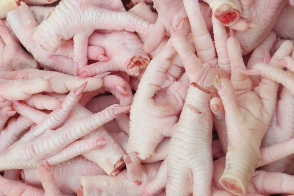 brazil frozen chicken paw exporters