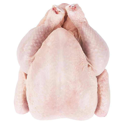 Buy Brazilian Frozen Chicken Wholesale