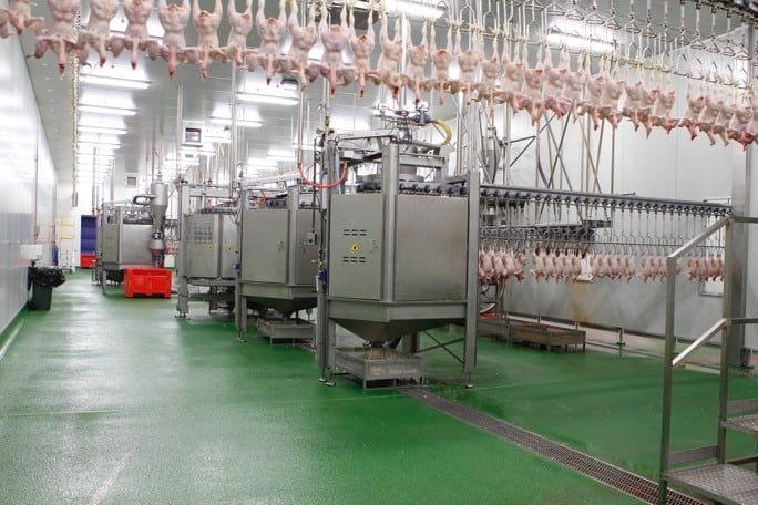 halal chicken distributors 1